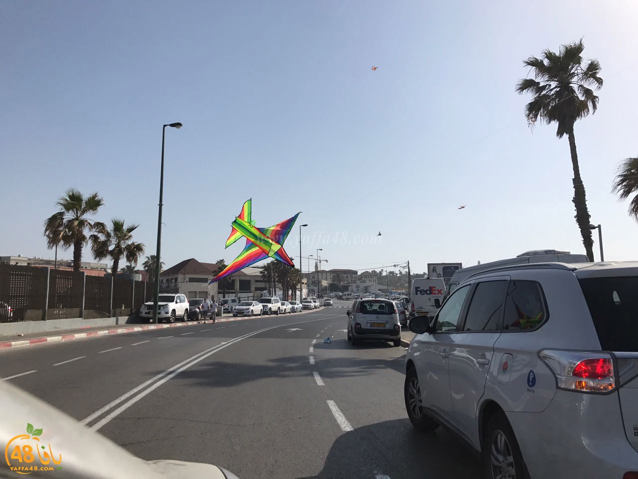 cars in yefaffa (17).jpg